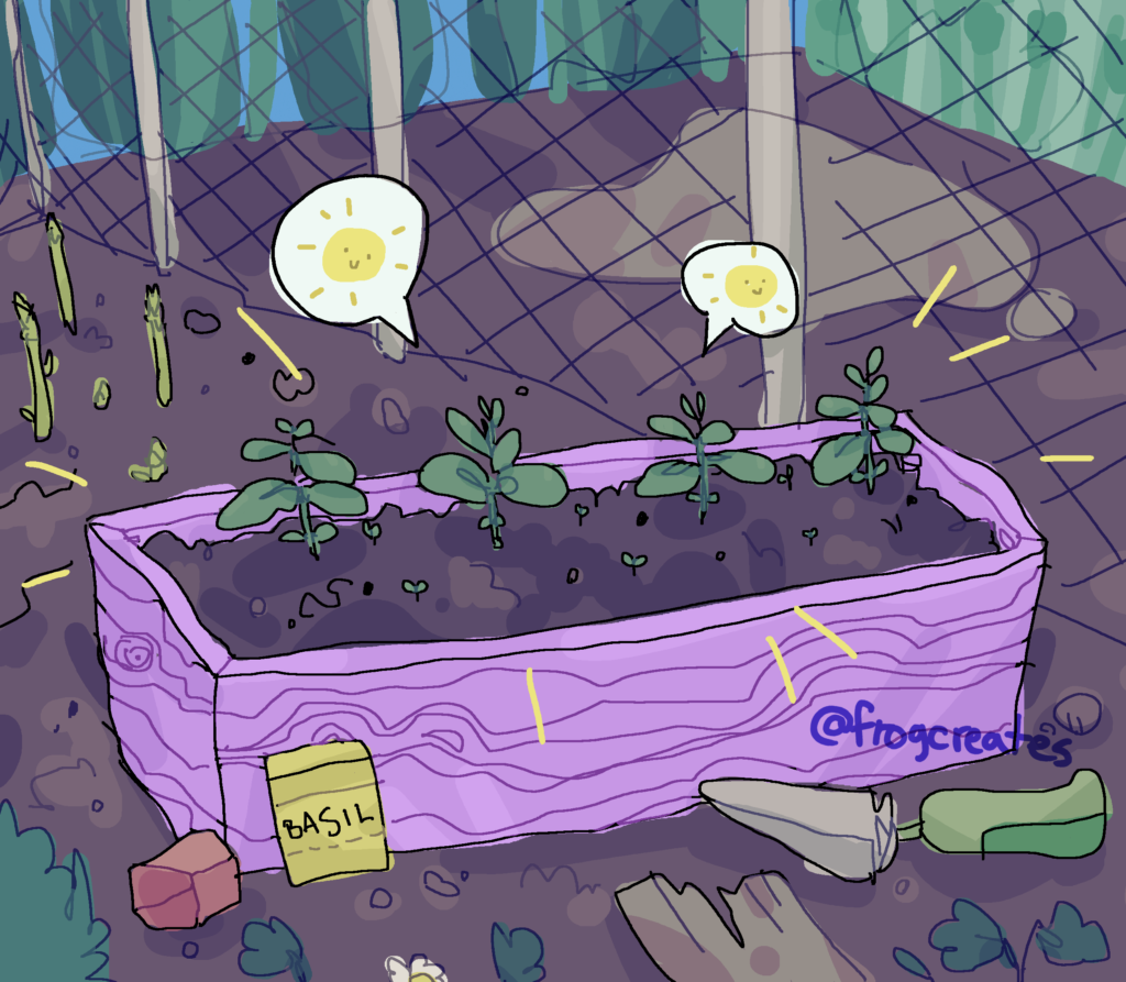 A digital illustration of a small purple raised garden bed with four basil plants grown from seed. They only have a few leaves each. There are speech bubbles coming from the plants with smiley happy suns in them.