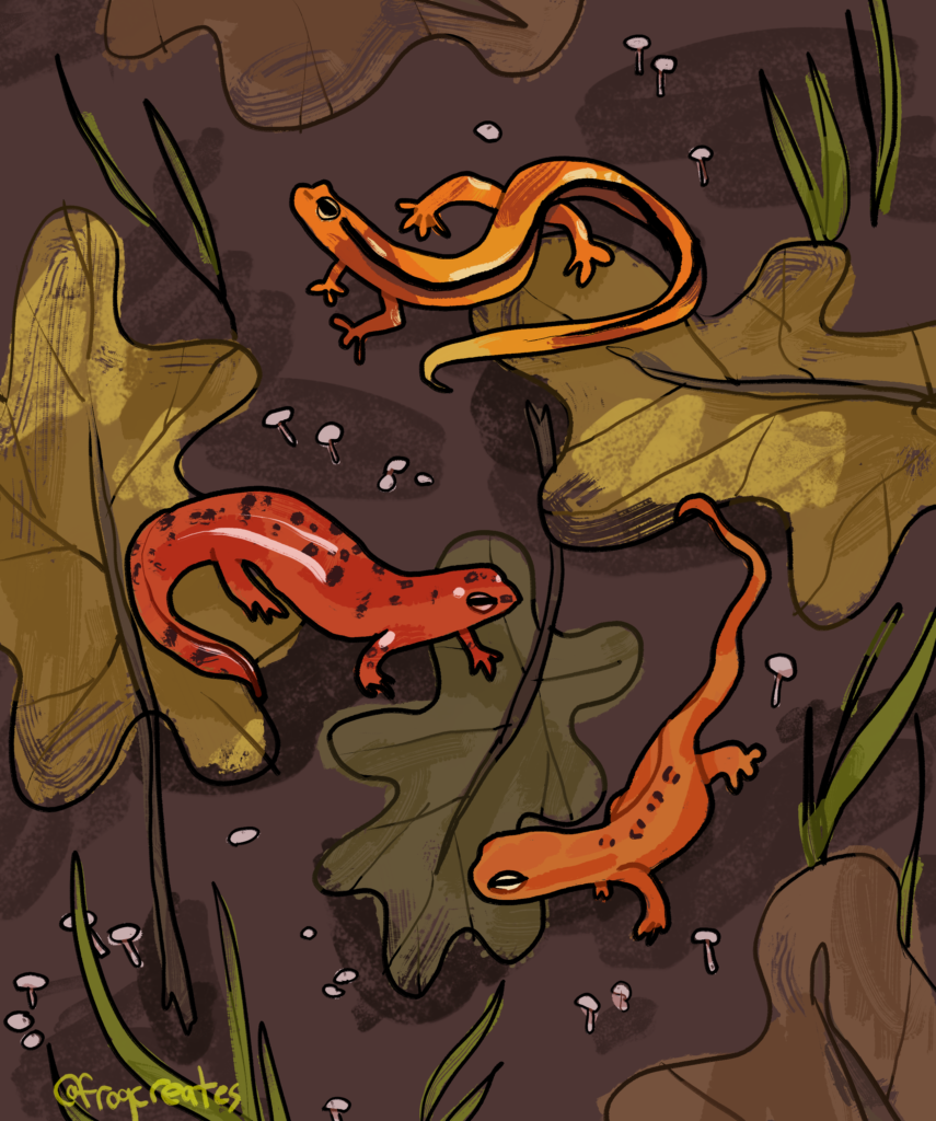 An unframed print of three digitally illustrated salamanders among fallen leaves. The piece is in warm earth tones.