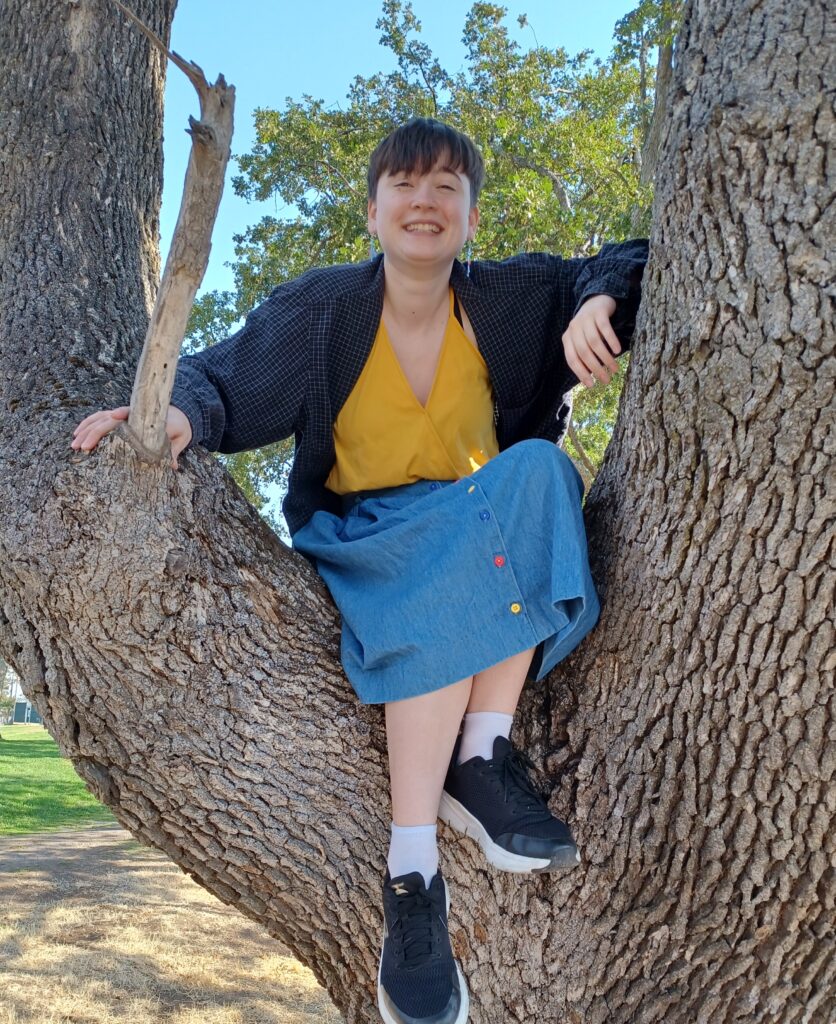 A photo of Danny Jacobsen, the artist, sitting in the fork of a tree.